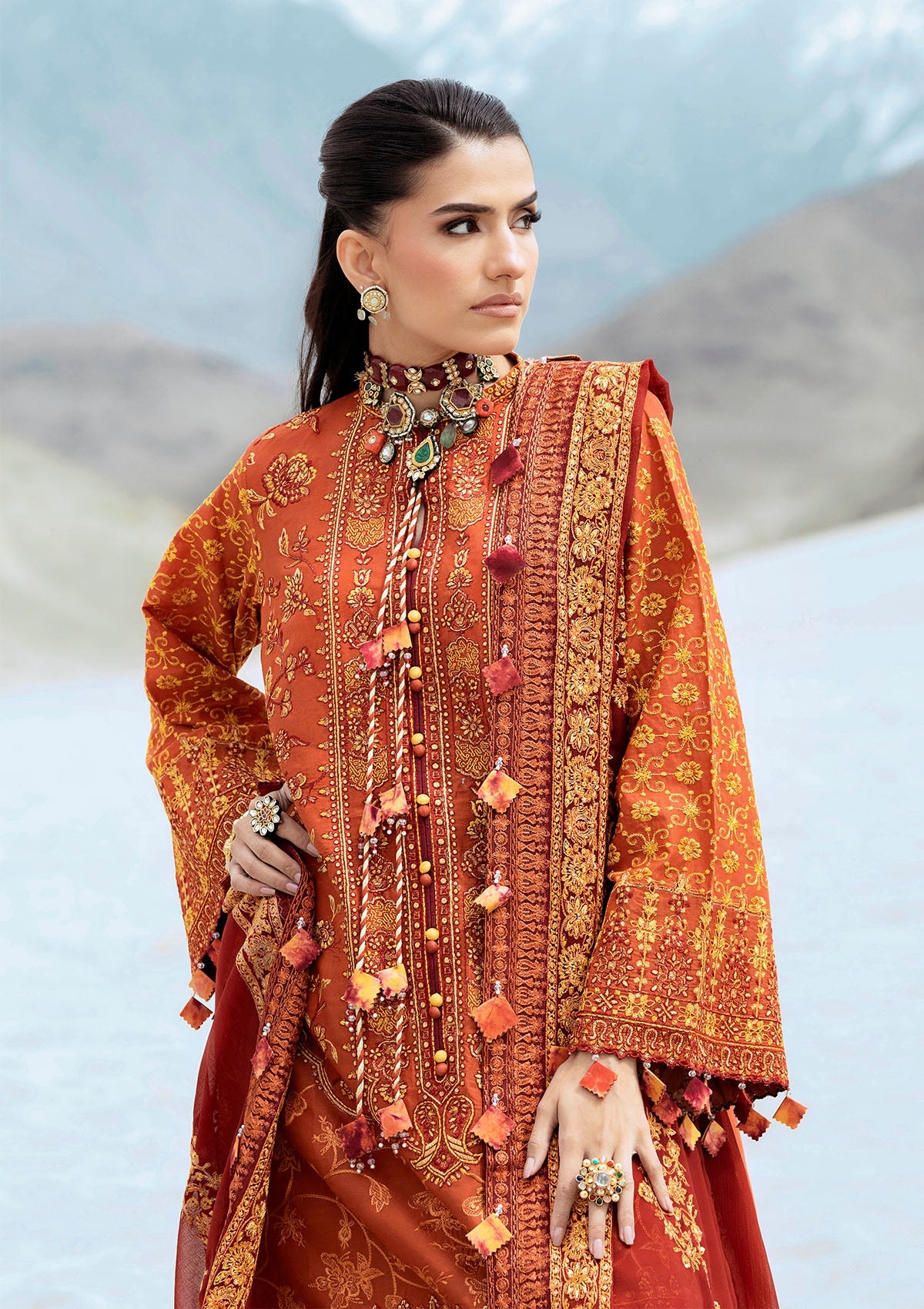 AIK Atelier Raqs Look 07 Lawn Vol 1 2025