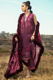 Mushq Wild Aster Winter Edition
