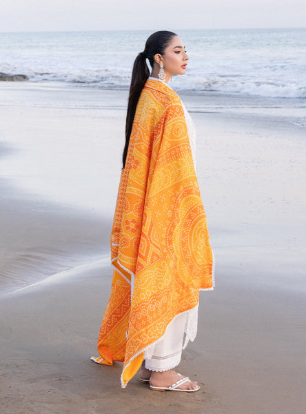 Zainab Chottani Unstitched Embroidered Luxury Lawn 3 Piece Suit ZC26ULZ D-10 SILVA - Summer Collection