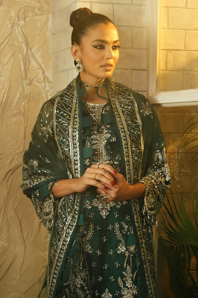 Mina Kashif | Kahani Formals | Araish