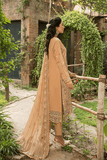 Zebtan ZL-3-Skin Luxury Lawn Collection