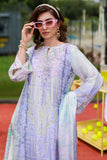 Ansab Jahangir Yarah Marigold and Gota 2025