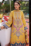 Ansab Jahangir Azira Marigold and Gota 2025
