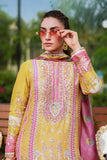 Ansab Jahangir Aveline Marigold and Gota 2025