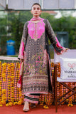 Ansab Jahangir Laraib Marigold and Gota 2025