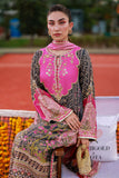 Ansab Jahangir Laraib Marigold and Gota 2025