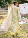 Raj Bari Schiffli Design #  11 Schiffli Printkari Exclusive 2025