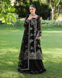 Roheenaz Naaz Aangan Chiffon Collection 2025
