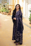 Asim Jofa AJKI-05 Pashmina Winter 2024