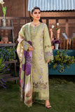 Rang Rasiya Aysel Premium Eid Collection 2024