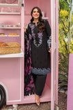 Rang Rasiya Kaia Carnation Festive Edition 2024