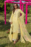 Rang Rasiya Raya Carnation Festive Edition 2024