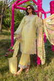 Rang Rasiya Raya Carnation Festive Edition 2024