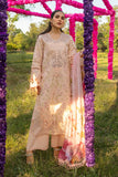 Rang Rasiya Lily Carnation Festive Edition 2024