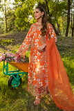 Rang Rasiya Coco Carnation Festive Edition 2024
