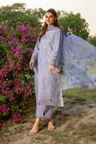 Rang Rasiya Eva Carnation Festive Edition 2024