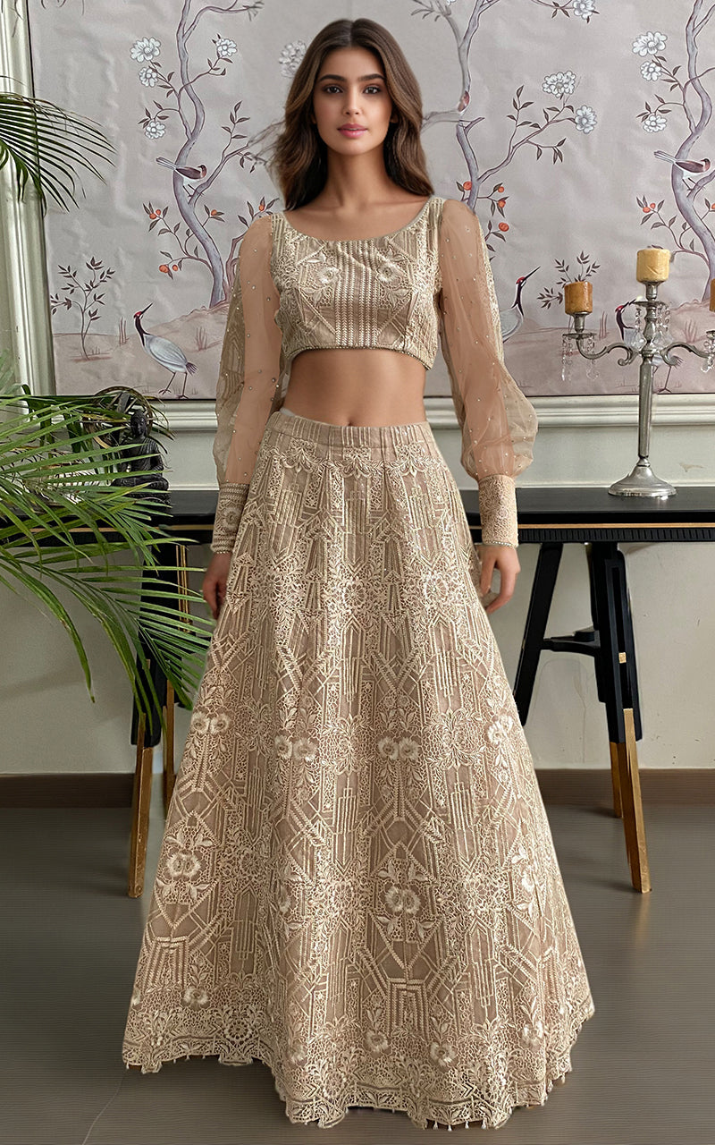 Threads & Motifs Luxury Pret  Organza Lehenga and Blouse 7855.3 main image 0