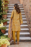 Afrozeh Lorien B Damask The Holiday Edit 2025