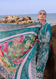 Akbar Aslam Tweedia Lawn Collection 2024