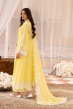 Raj Bari Design # 01 Nissa Chikankari Lawn 2024