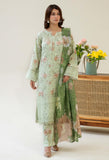Adan Libas  Chikankari Satin 01 Chikankaari Collection 2025