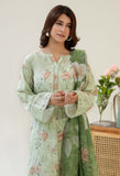 Adan Libas  Chikankari Satin 01 Chikankaari Collection 2025