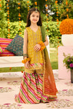 Alizeh AFK-ZN-1001-Zarposh Shehnai - The Festive Edit 2025