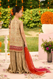 Alizeh AFK-ZN-1005-Dilruba Shehnai - The Festive Edit 2025