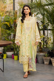 Rang Rasiya Olivine Lifestyle Summer Edit 2025