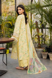 Rang Rasiya Olivine Lifestyle Summer Edit 2025
