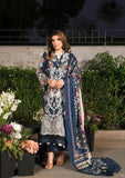 Elaf Premium EPW-6B Moonlit Promises Winter Pashmina Shawl  2024