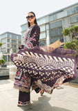 Elaf Premium EPW-8A Warm Embrace Winter Pashmina Shawl  2024