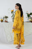 Al Zohaib CC-2-26-10 Coco Cords Printed Vol 2 2026
