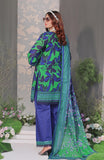 Alzohaib CC-3-25-10 Coco Cords Digital Printed Vol-3 2025