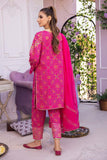 Charizma EDP23-01 Festive Prets 2025
