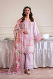 AJR Couture Thistle Signature Lawn 2025