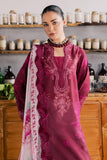 Nureh DD-33 Daily Wear 2026