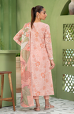 Seran Peche Artisan Summer 2025