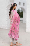 Alzohaib CDP-25-03 Colors Digital Printed Edition 2025