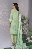 Alzohaib CC-3-25-03 Coco Cords Digital Printed Vol-3 2025
