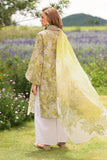 Baroque UF-4229 Summer Lawn 2025