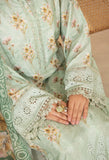 Adan Libas  Chikankaari 0019 Chikankaari Collection 2025