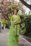 Sobia Nazir Design 3A SN Basics 2025