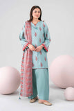 Nishat Linen 42602694 Rainy Season FTB 2026