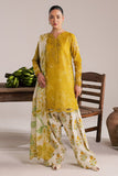 Nureh DD-35 Daily Wear 2026