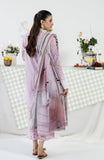Al Zohaib CC-2-26-06 Coco Cords Printed Vol 2 2026