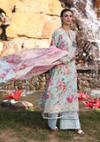 Elaf Premium ECK-04B Glaciella  Print Chikankari Collection 2024