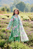 Farasha Golden Spring Summer Escape 2026