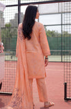 Al Zohaib CC-6-26-08 Coco Cords Printed Vol 6 2026