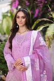 Saadia Asad D9-A Pink Ombré Colour Block Noor Luxury Chikankari Lawn 2024